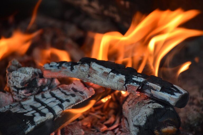 fire, carbon, barbecue-4756108.jpg